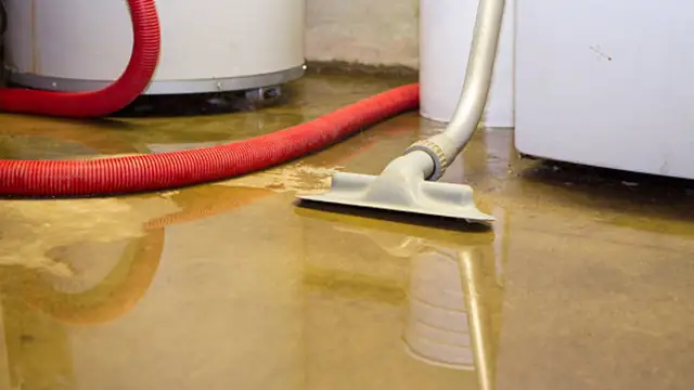 Wet vacuum head and red hose removing water from a basement floor