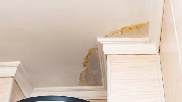 Brown water stain on a ceiling near the top of a staircase