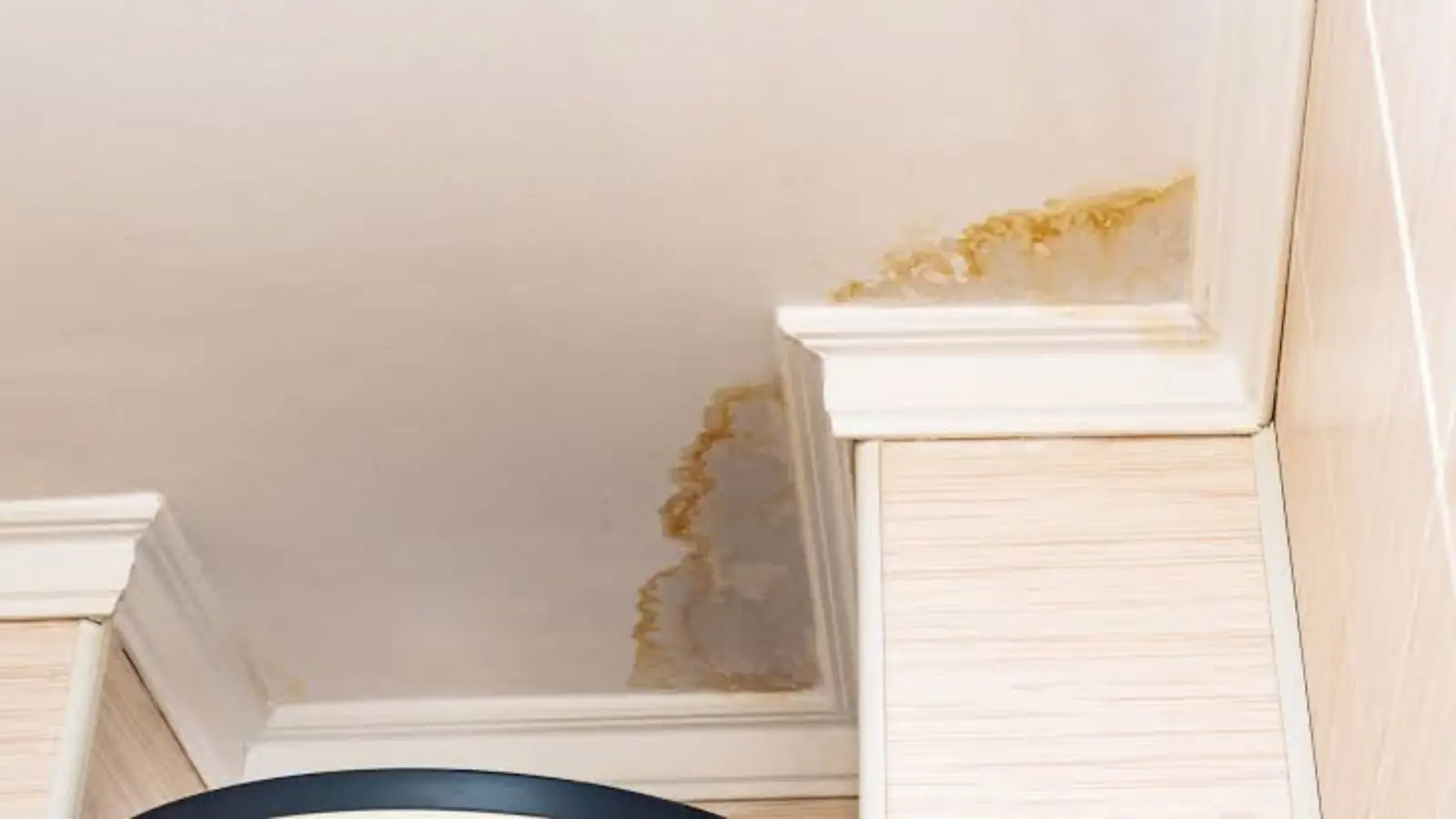 Brown water stain on a ceiling near the top of a staircase