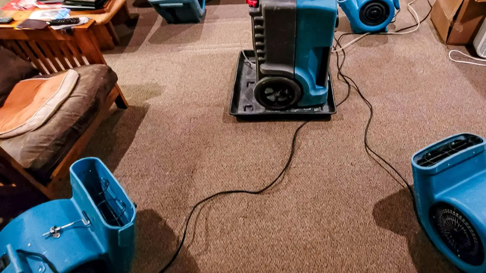 Blue air movers running on carpet in a room being dried after water removal